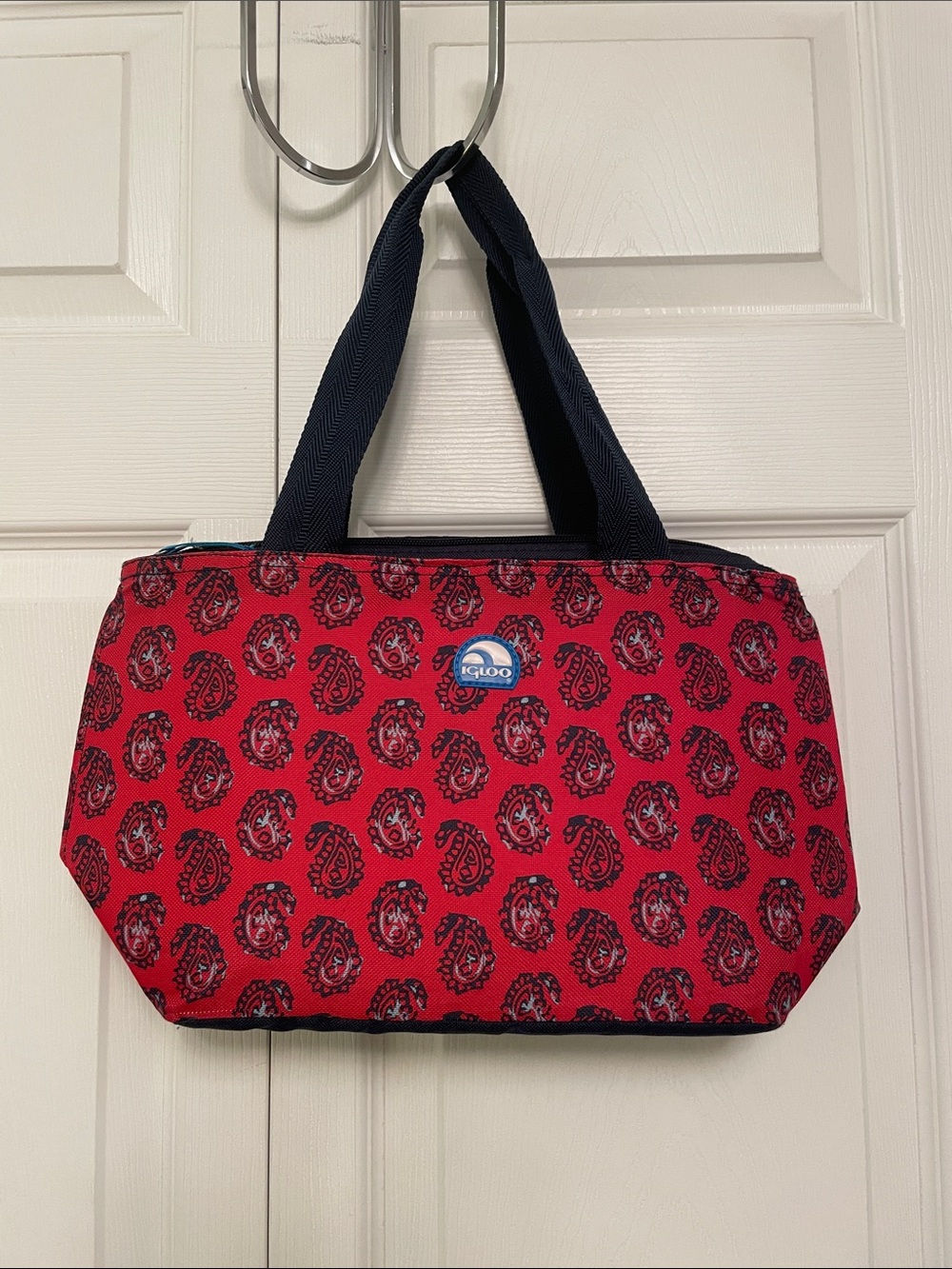 IGLOO Insulated Lunch or Travel Tote Bag Paisley Print Great Condition